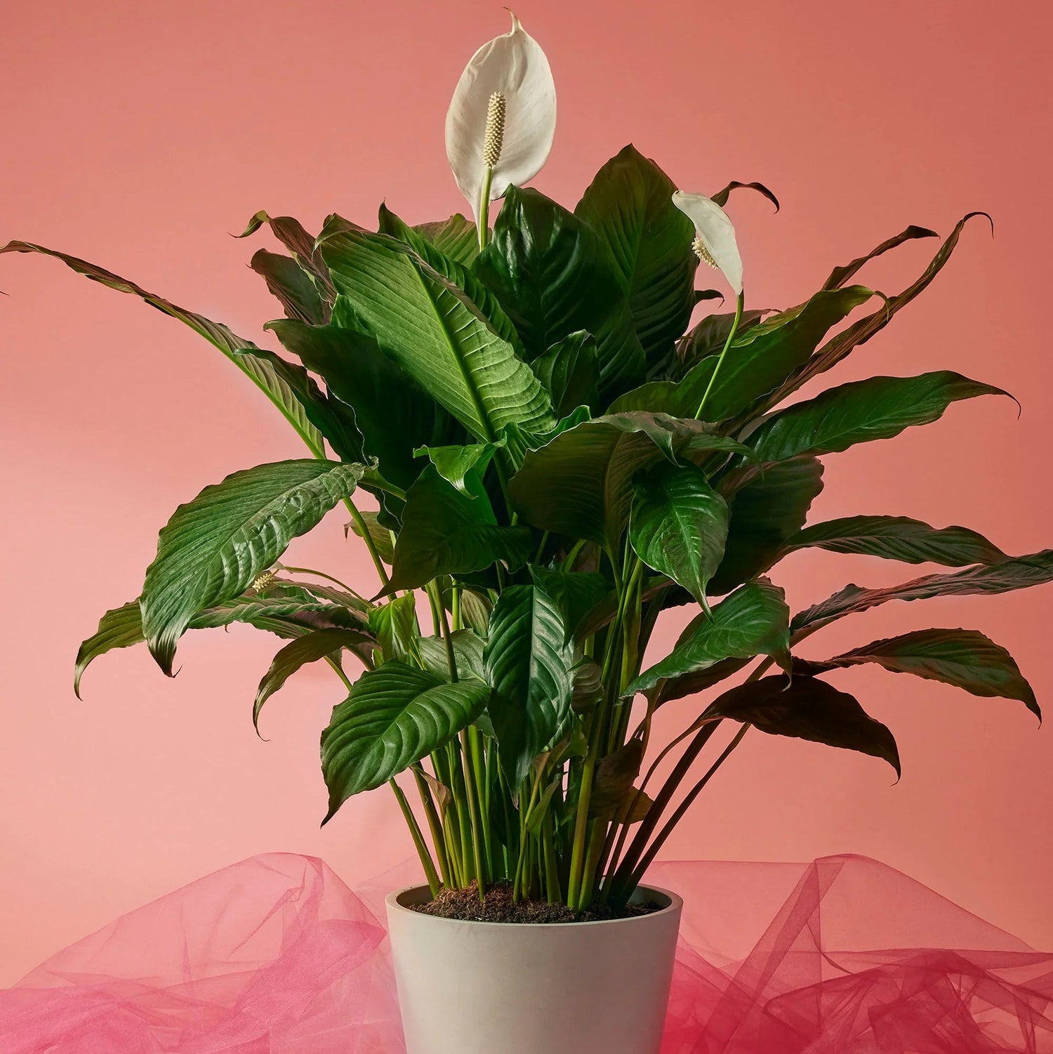 UV Resistant Artificial Flowers