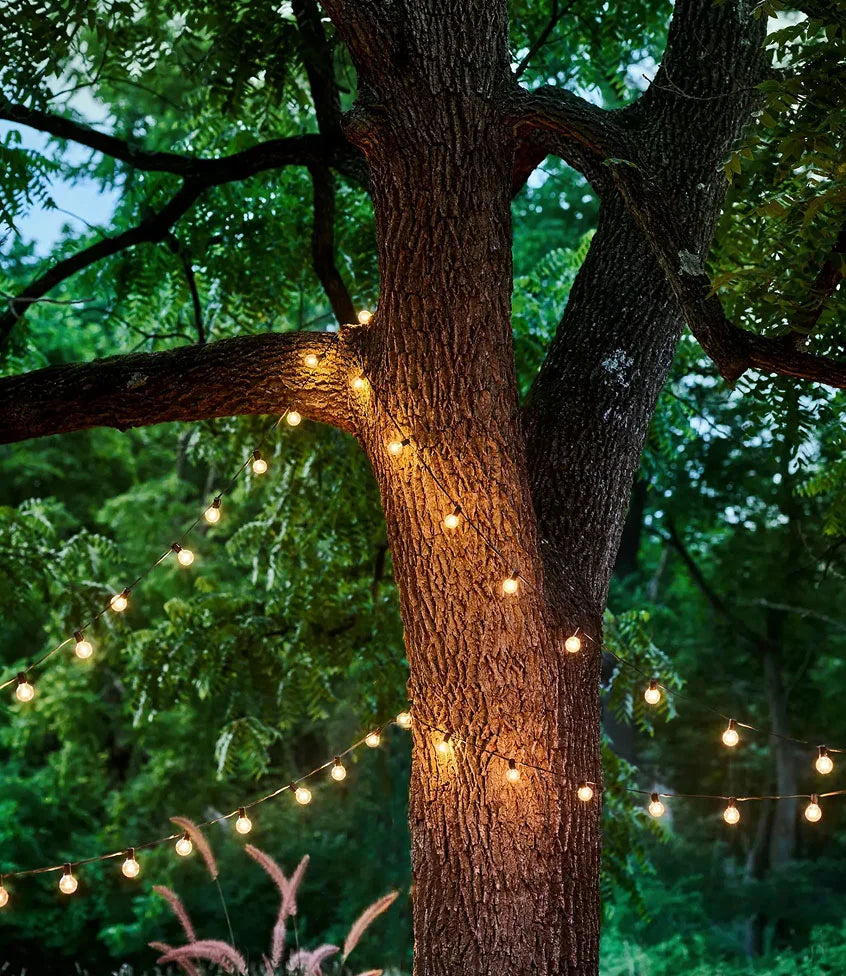 Garden Decoration