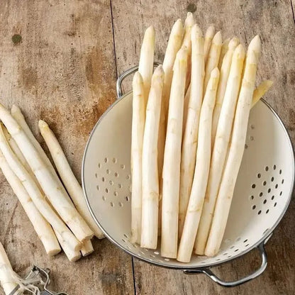 🌿Four Seasons Asparagus Mary Washington Seeds – Perennial, Tender, Nutrient