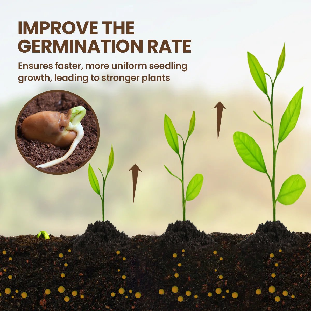 ⚡Flash Sale🔥 50K+ SOLD! Almost Gone - Soil Pro Activator