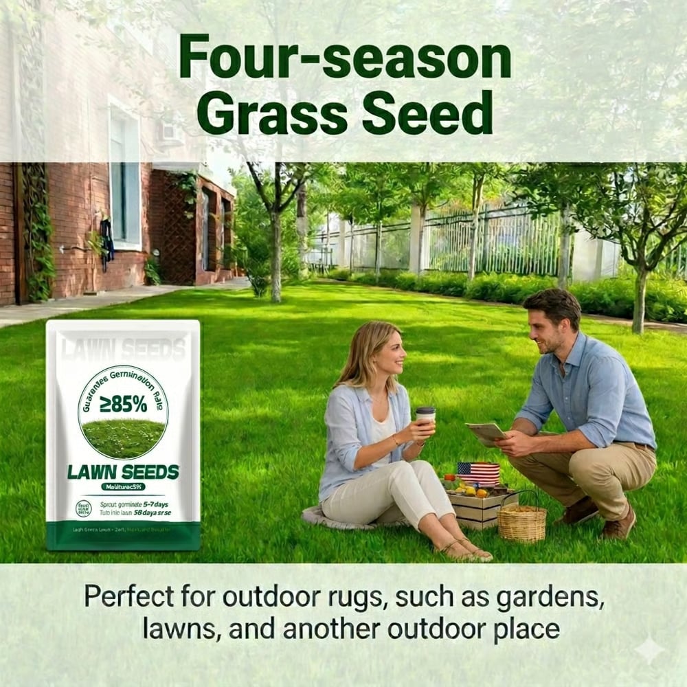 🌱2026 Evergreen Dwarf Grass Seed | For Four Seasons