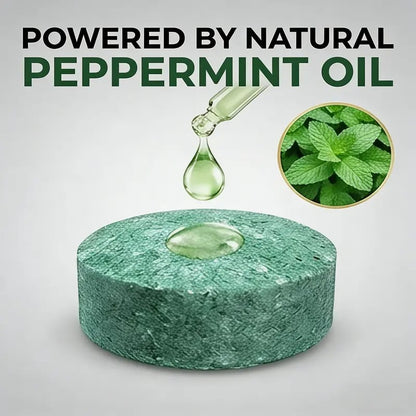 🌿Natural Peppermint Rodent Repellent Balls (12 Pack) – Keep Rats, Mice & Pests Away Safely