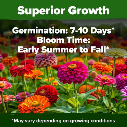 🔥HOT SALE 49% OFF-Zinnia Seeds - Pure Seeds - No Filler - USA Heirloom Flower Seeds