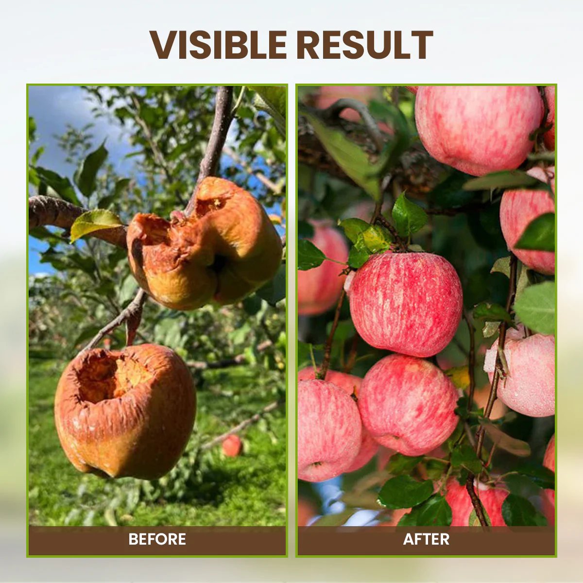 ⚡Flash Sale🔥 50K+ SOLD! Almost Gone - Soil Pro Activator