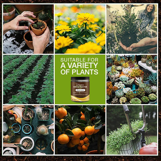 ⚡Flash Sale🔥 50K+ SOLD! Almost Gone - Soil Pro Activator