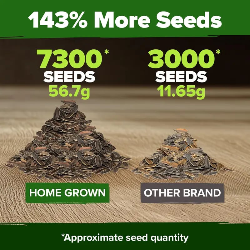 🔥HOT SALE 49% OFF-Zinnia Seeds - Pure Seeds - No Filler - USA Heirloom Flower Seeds