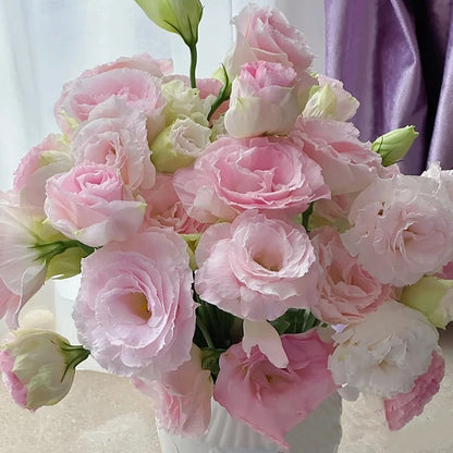 🔥Hot Sale 50% OFF🌱Hardy Perennial Lisianthus Seeds RHS Certified for British Garden Beds Beginner Friendly