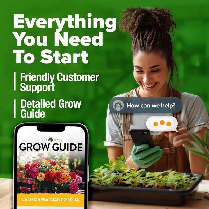 🔥HOT SALE 49% OFF-Zinnia Seeds - Pure Seeds - No Filler - USA Heirloom Flower Seeds