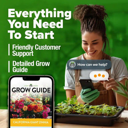 🔥HOT SALE 49% OFF-Zinnia Seeds - Pure Seeds - No Filler - USA Heirloom Flower Seeds