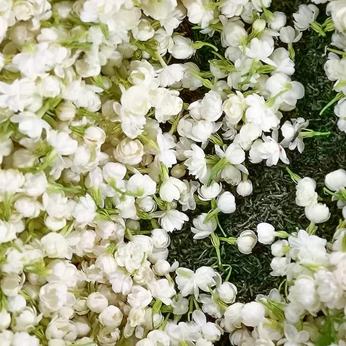 🔥Last day clearance🌷Climbing Silver Jasmine Seeds🌸 For Natural Fragrance Haven