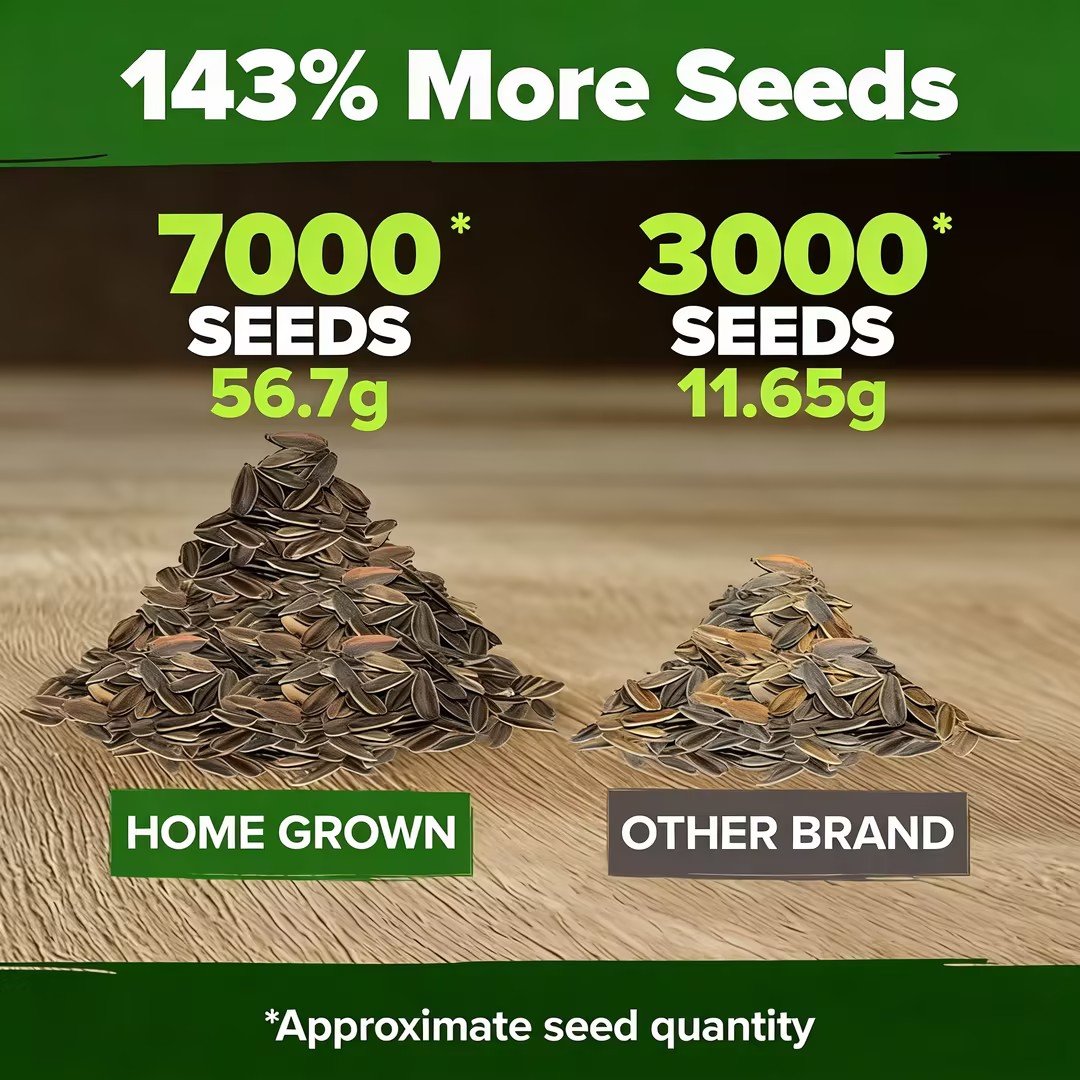 🔥HOT SALE 49% OFF-Zinnia Seeds - Pure Seeds - No Filler - USA Heirloom Flower Seeds