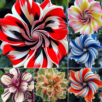 🌺2026 Rare Double Hibiscus Seeds | Massive Ruffled Blooms